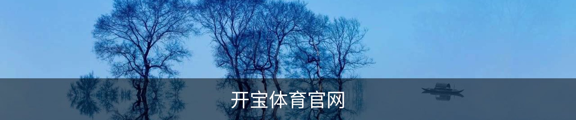 开宝体育 - 赛事尽览，尽在KaiBao SPORTS